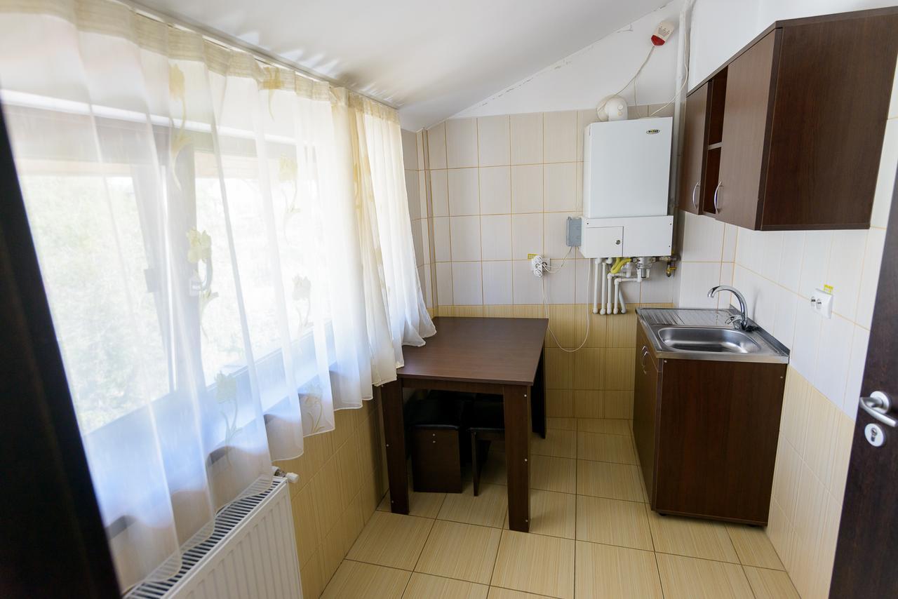 Pensiunea Domneasca Piteşti Exteriör bild